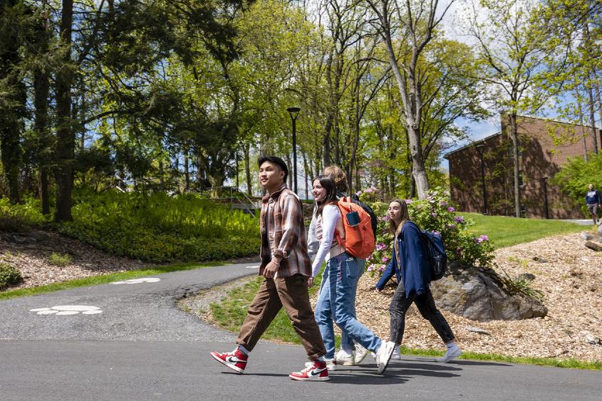 Students walking up a concrete path